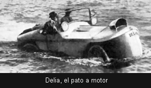 Delia, el pato a motor
